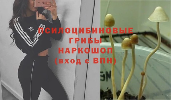 крисы Балахна
