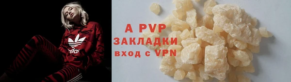кокс Баксан