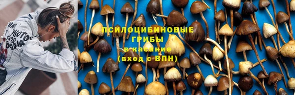 кокс Баксан
