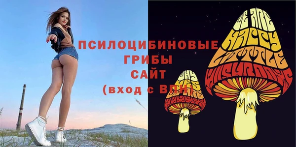 крисы Балахна